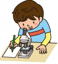 顕微鏡で観察している男の子のイラスト