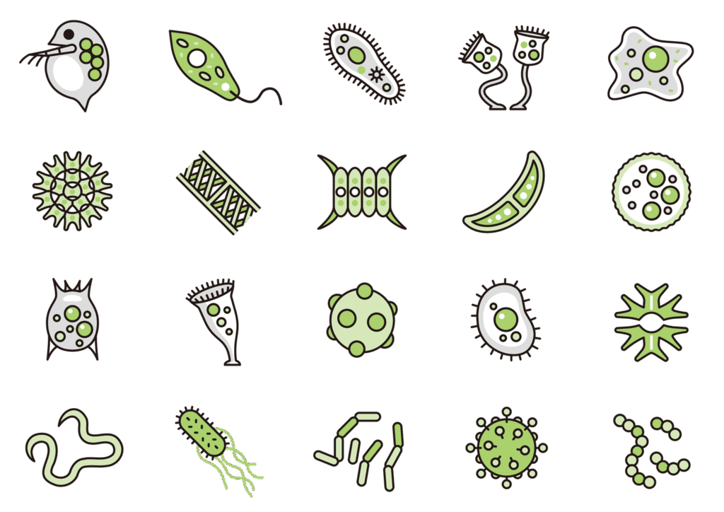 いろいろな微生物のかわいいアイコンが並んでいるイラスト